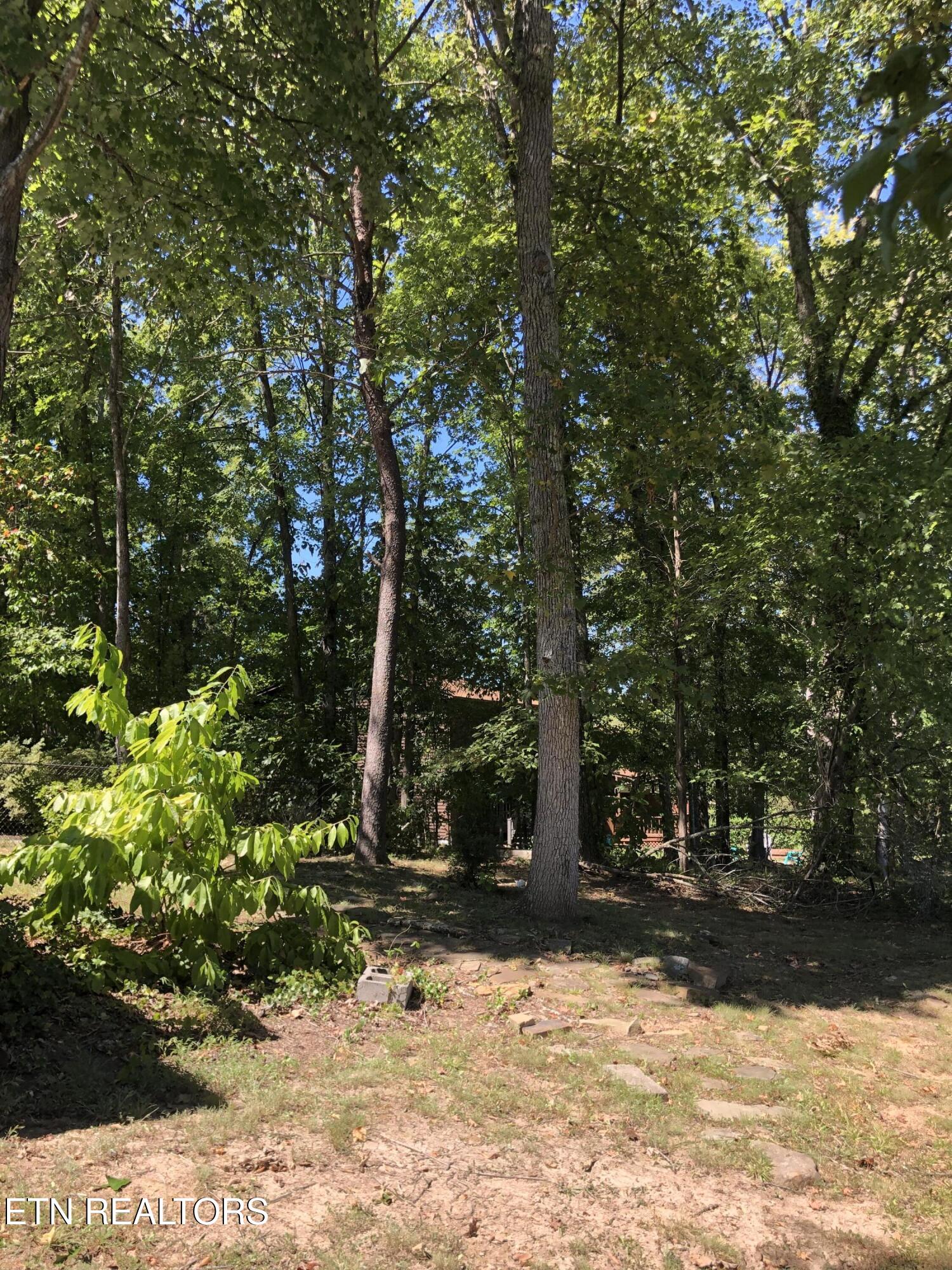 107 Hazleton Lane Oak Ridge, TN 37830 - Photo 22 of 26 Wooded Back Yard