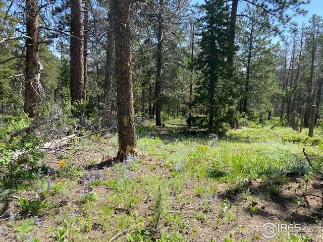 a view of outdoor space with deck and green space