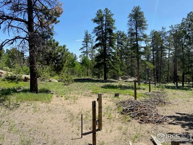 a view of a yard with a tree