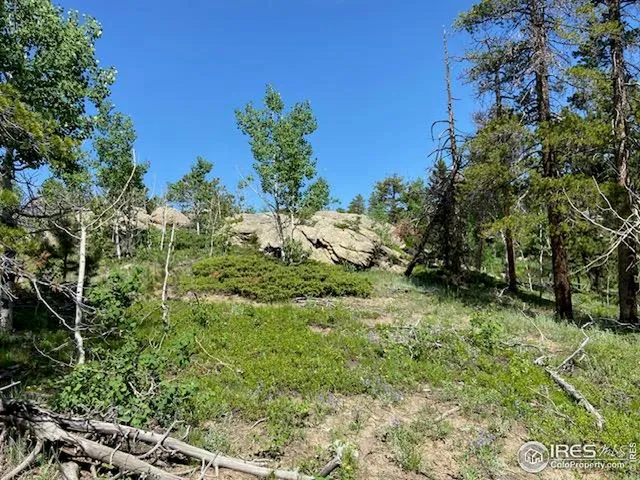a view of backyard with green space