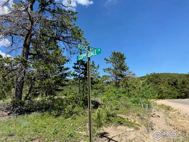 a view of a house with a lush green forest