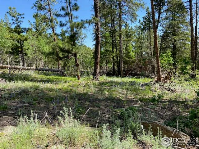 a big yard with lots of green space