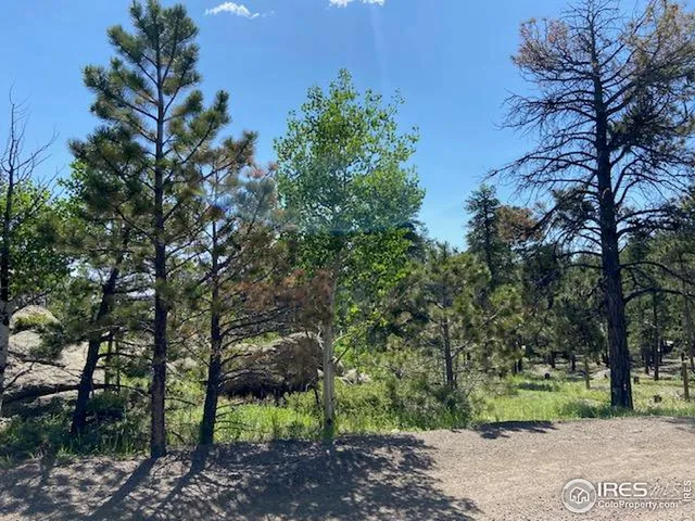 a view of an outdoor space