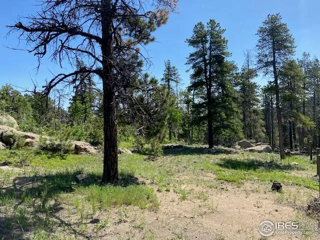 a backyard of a house with trees and plants