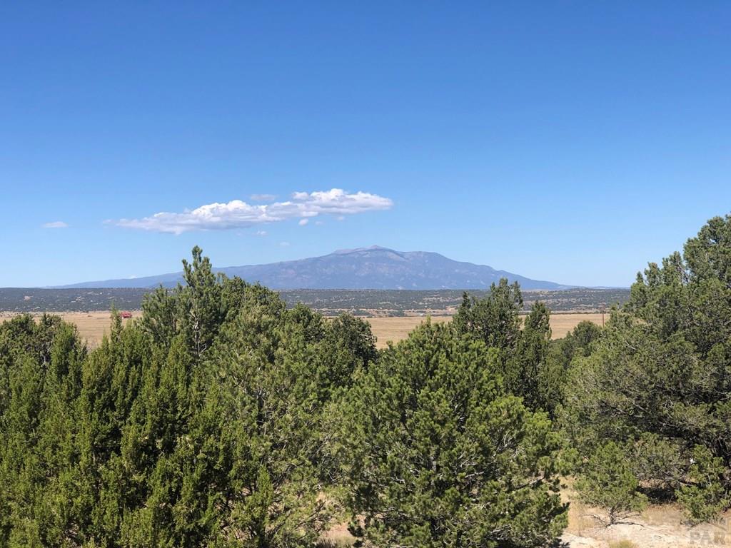 Lot 64 River Ridge Trail La Veta, CO 81055 - Photo 10 of 29