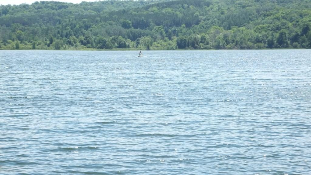 16835 Starkey Road Arcadia, MI 49613 - Photo 21 of 43 16835 Starke Rd @ (20)
