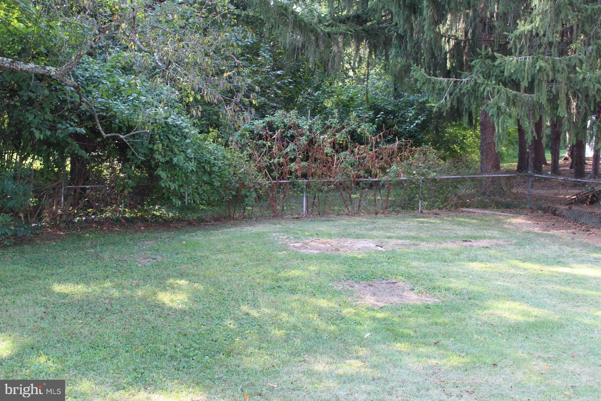 772 South Old Mill Road Dover, DE 19901 - Photo 6 of 28 Backyard