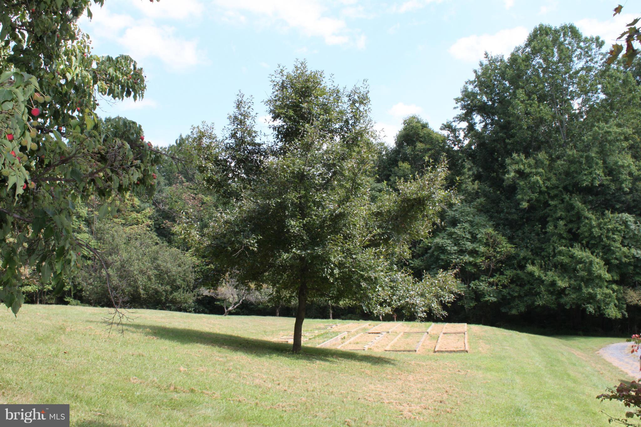 201 Hunters Road Washington, VA 22747 - Photo 18 of 30 Unobstructed view from MBR