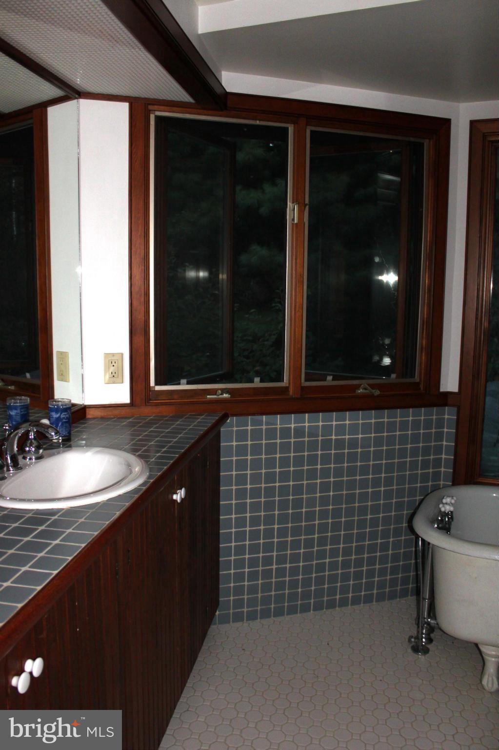 201 Hunters Road Washington, VA 22747 - Photo 19 of 30 Master bath with claw tub and separate shower
