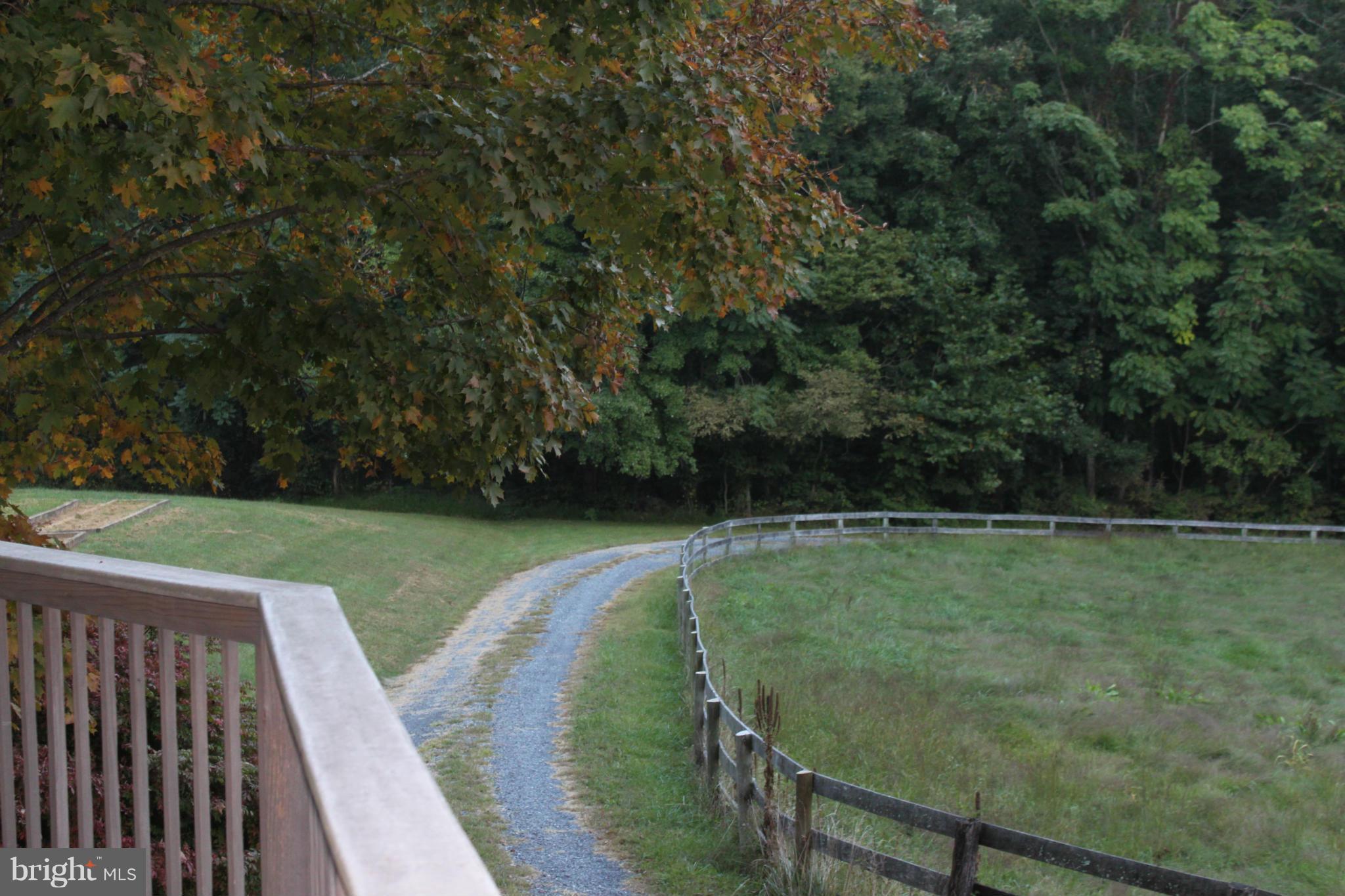201 Hunters Road Washington, VA 22747 - Photo 25 of 30 View of private driveway from deck