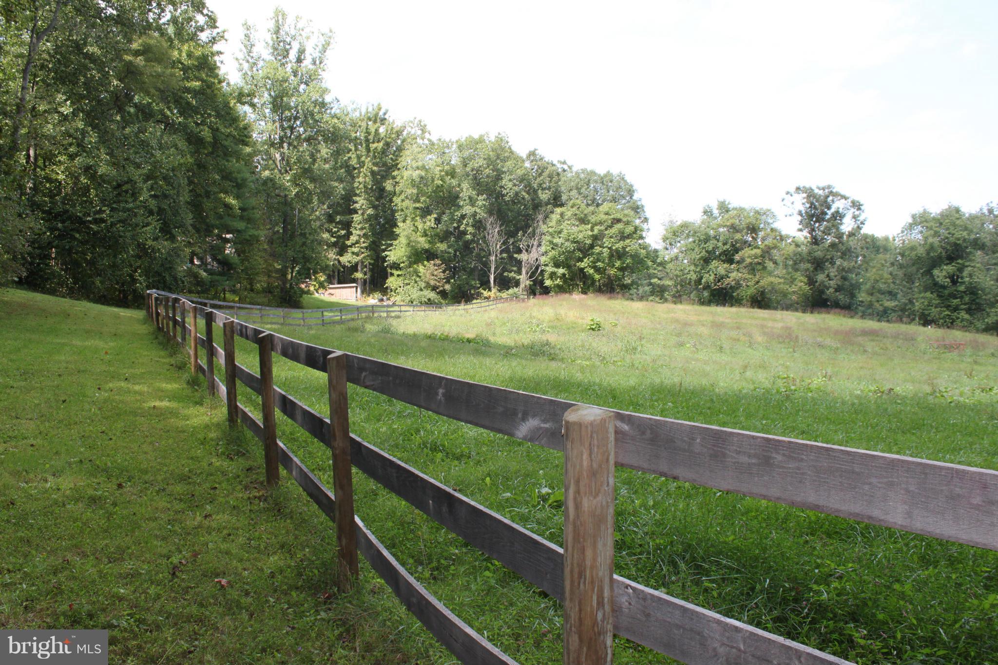 201 Hunters Road Washington, VA 22747 - Photo 30 of 30 Field with SE exposure, possible vineyard