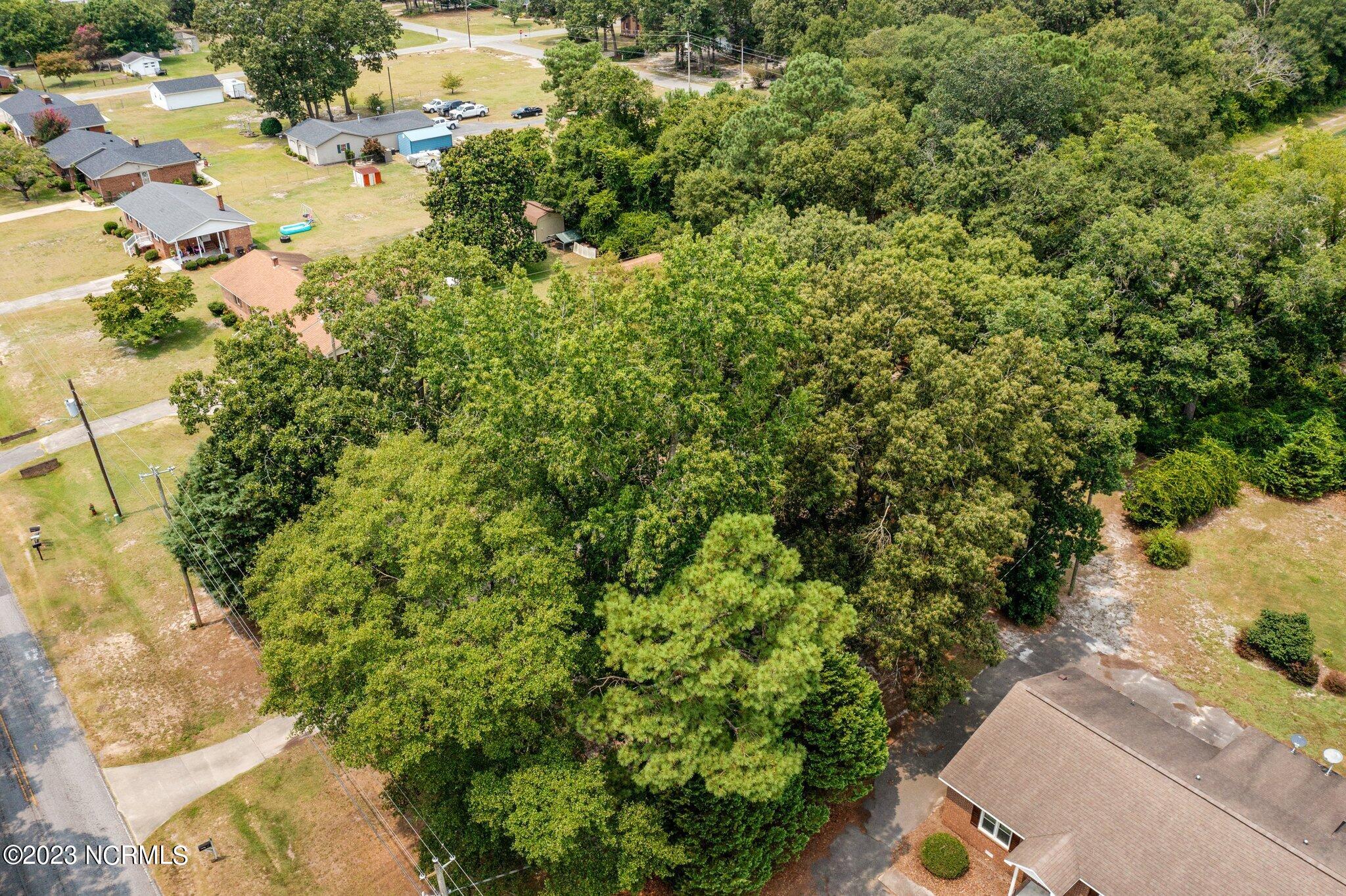 501 Firetower Road La Grange, NC 28551 - Photo 31 of 36 31-web-or-mls-DJI_0710