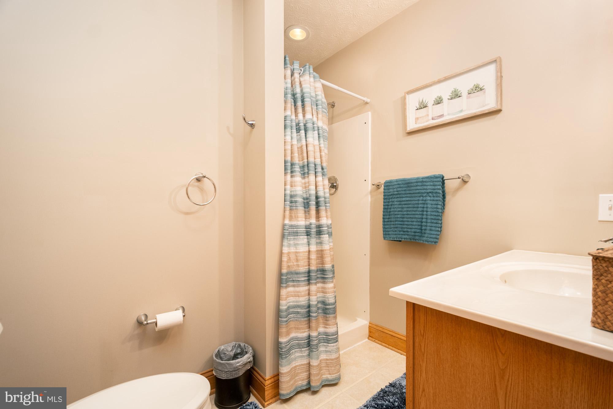 1875 Pysell Crosscut Road Oakland, MD 21550 - Photo 55 of 67 a bathroom with a sink a toilet and shower