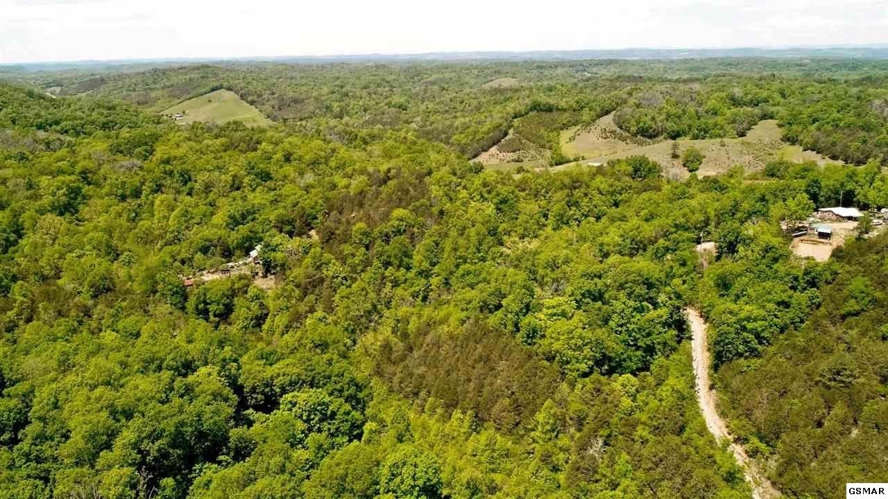 658 Crossfield Way Bybee, TN 37713 - Photo 10 of 21 Gallery Image 10