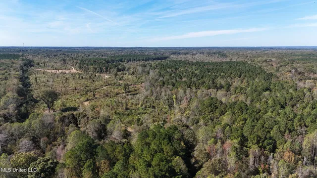 $775,000 | 1327 County Road, Philadelphia, MS 39350