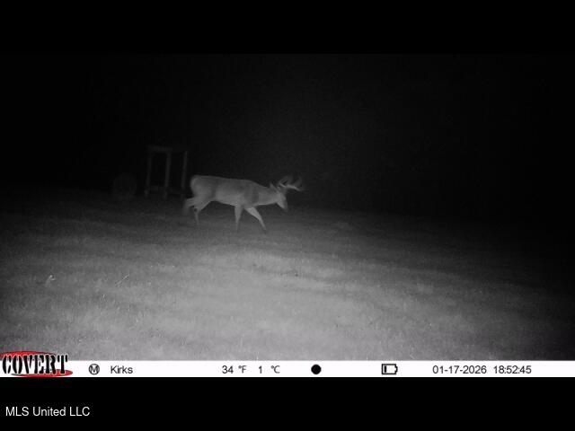 1327 County Road Philadelphia, MS 39350 - Photo 11 of 37 01_17_2026_18_52_46_3329054769