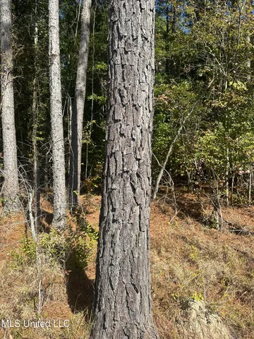 $775,000 | 1327 County Road, Philadelphia, MS 39350