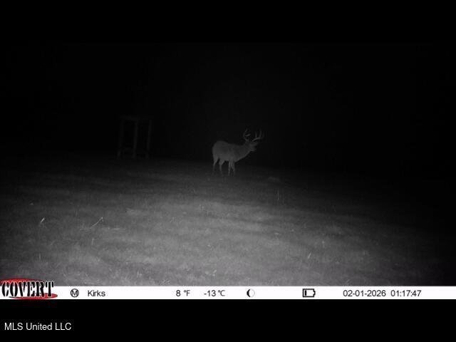1327 County Road Philadelphia, MS 39350 - Photo 14 of 37 02_01_2026_01_17_48_3340340830