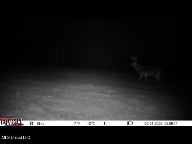 1327 County Road Philadelphia, MS 39350 - Photo 15 of 37 02_01_2026_02_09_45_3340363793