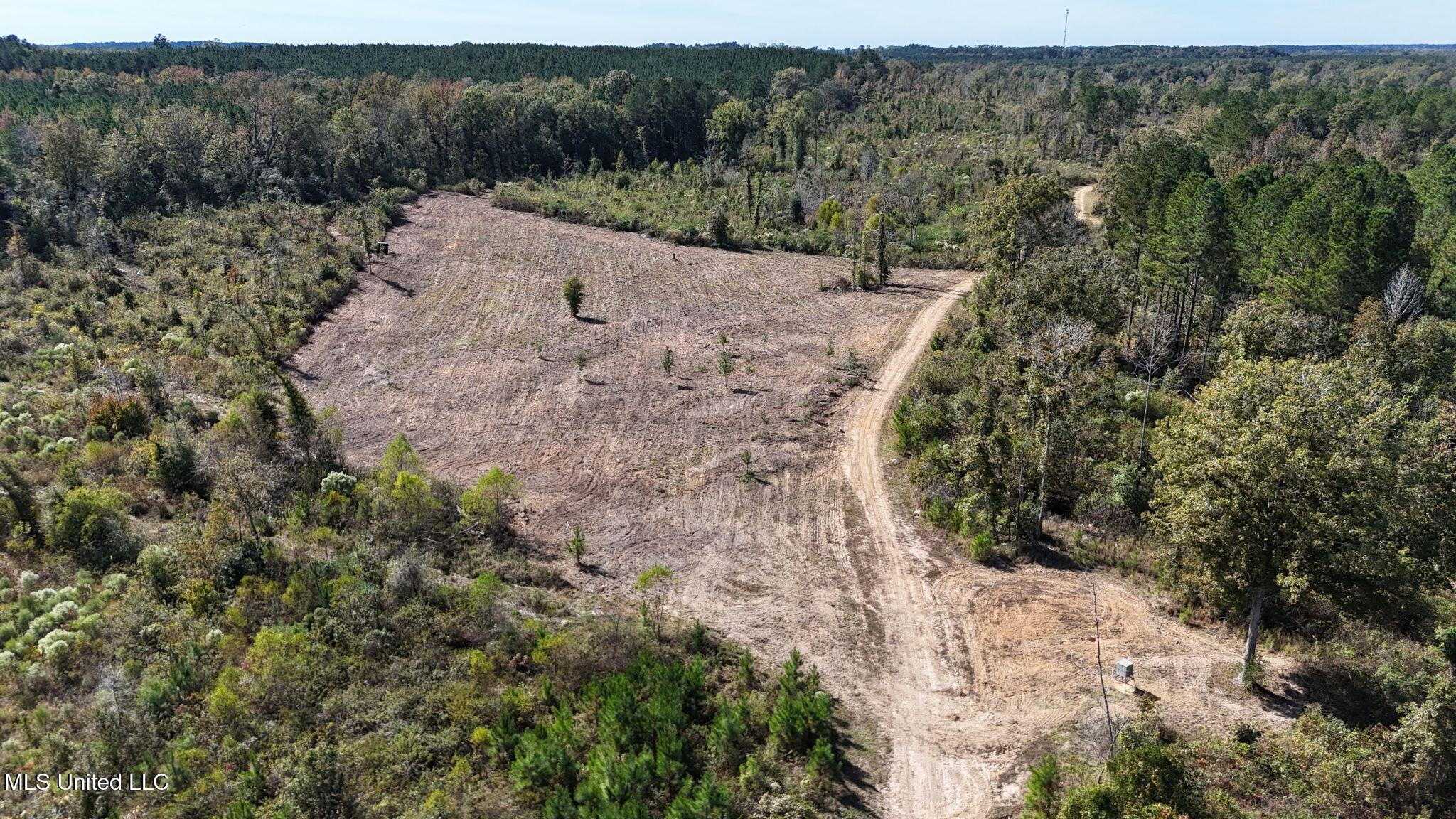 1327 County Road Philadelphia, MS 39350 - Photo 16 of 31 5