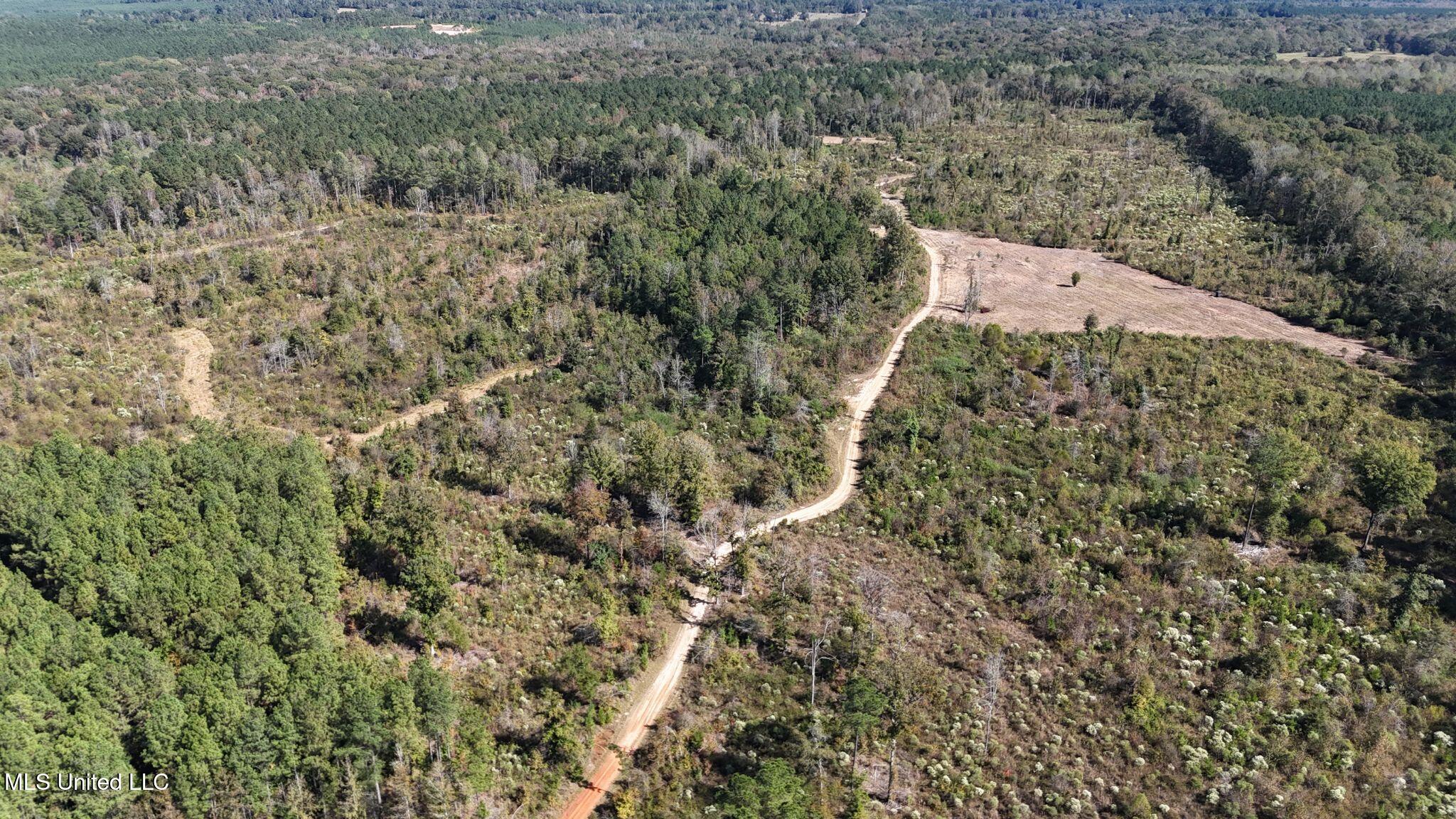 1327 County Road Philadelphia, MS 39350 - Photo 17 of 31 8