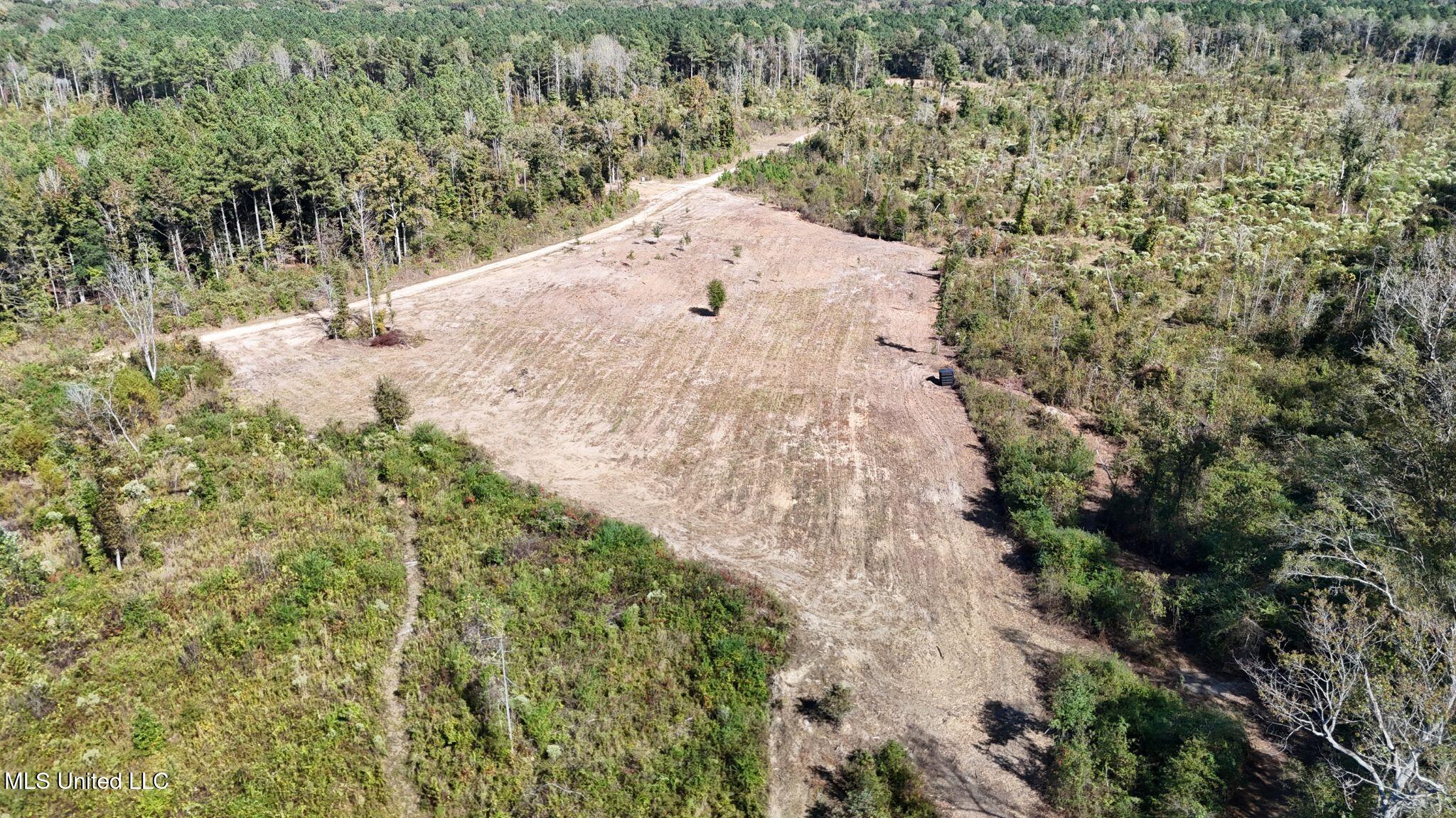 1327 County Road Philadelphia, MS 39350 - Photo 17 of 37 7