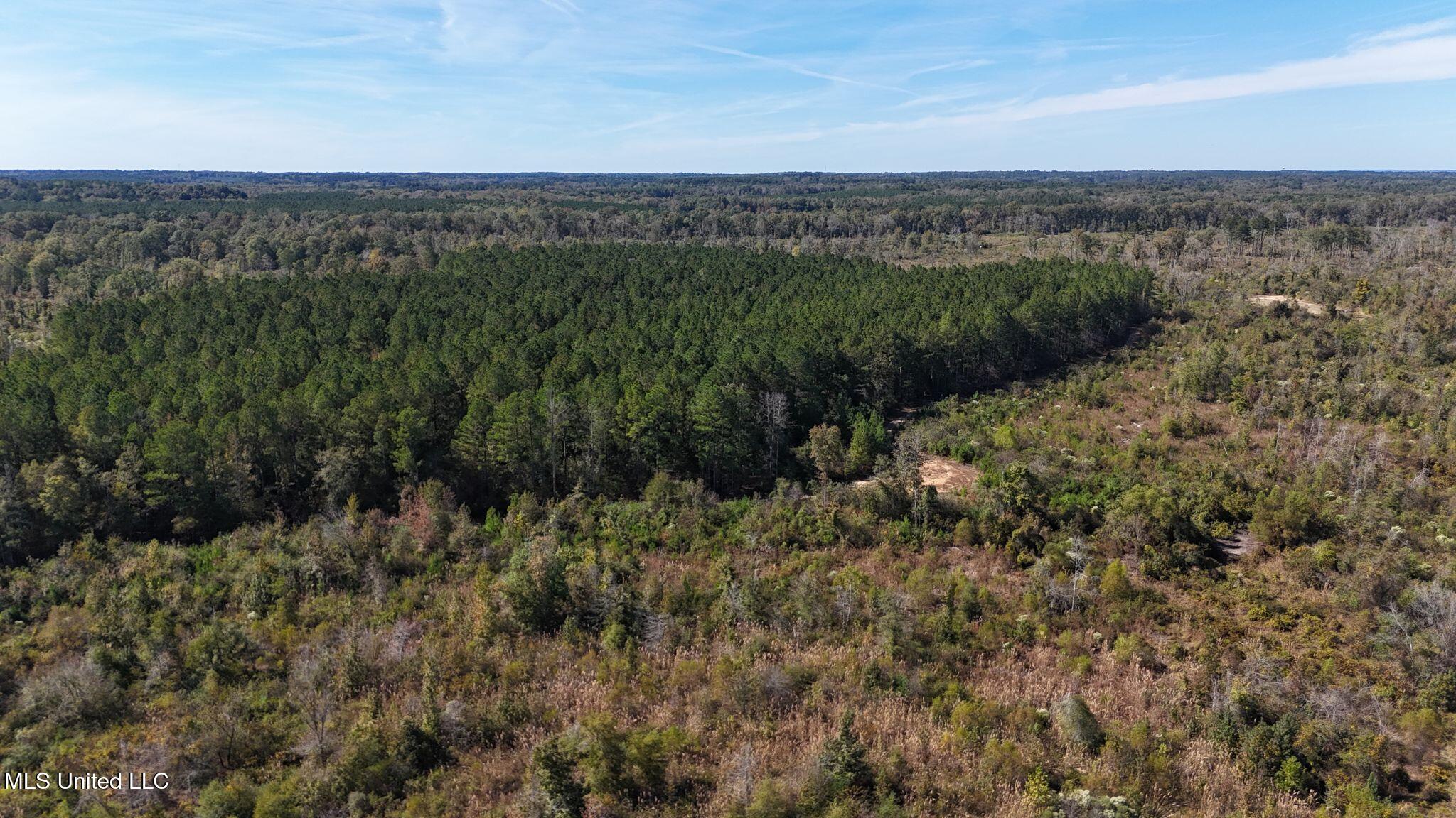 1327 County Road Philadelphia, MS 39350 - Photo 18 of 31 19