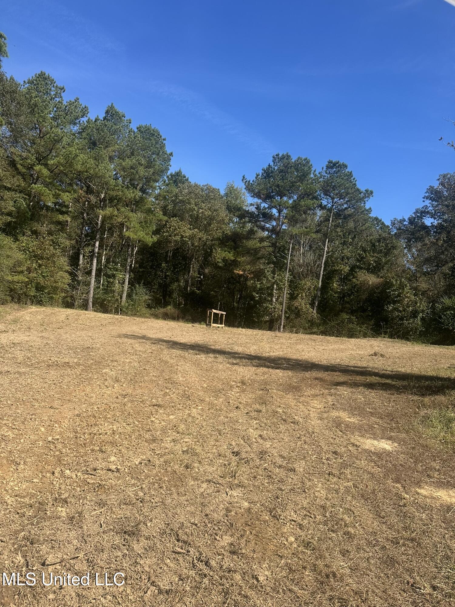 1327 County Road Philadelphia, MS 39350 - Photo 20 of 37 IMG_3831