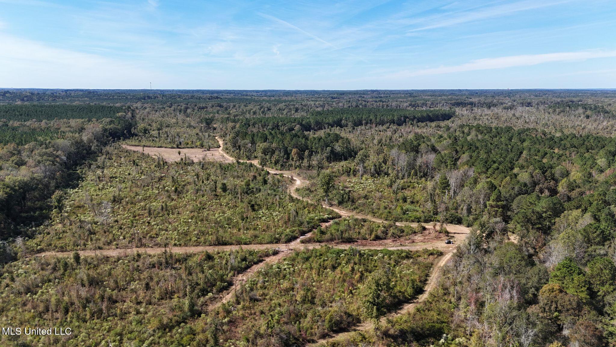 1327 County Road Philadelphia, MS 39350 - Photo 2 of 31 2