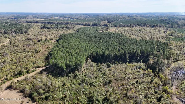 $775,000 | 1327 County Road, Philadelphia, MS 39350