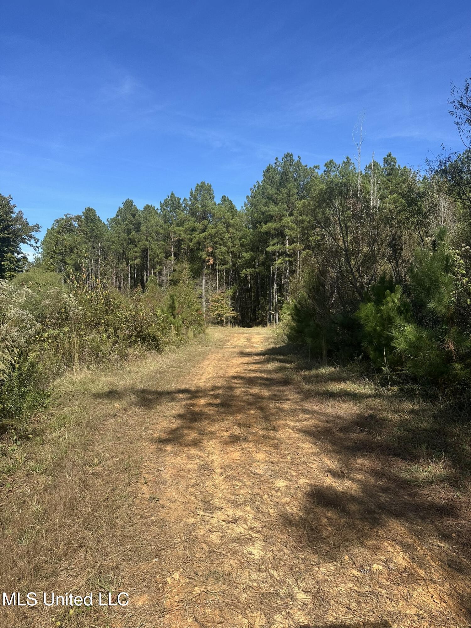 1327 County Road Philadelphia, MS 39350 - Photo 26 of 31 IMG_3842