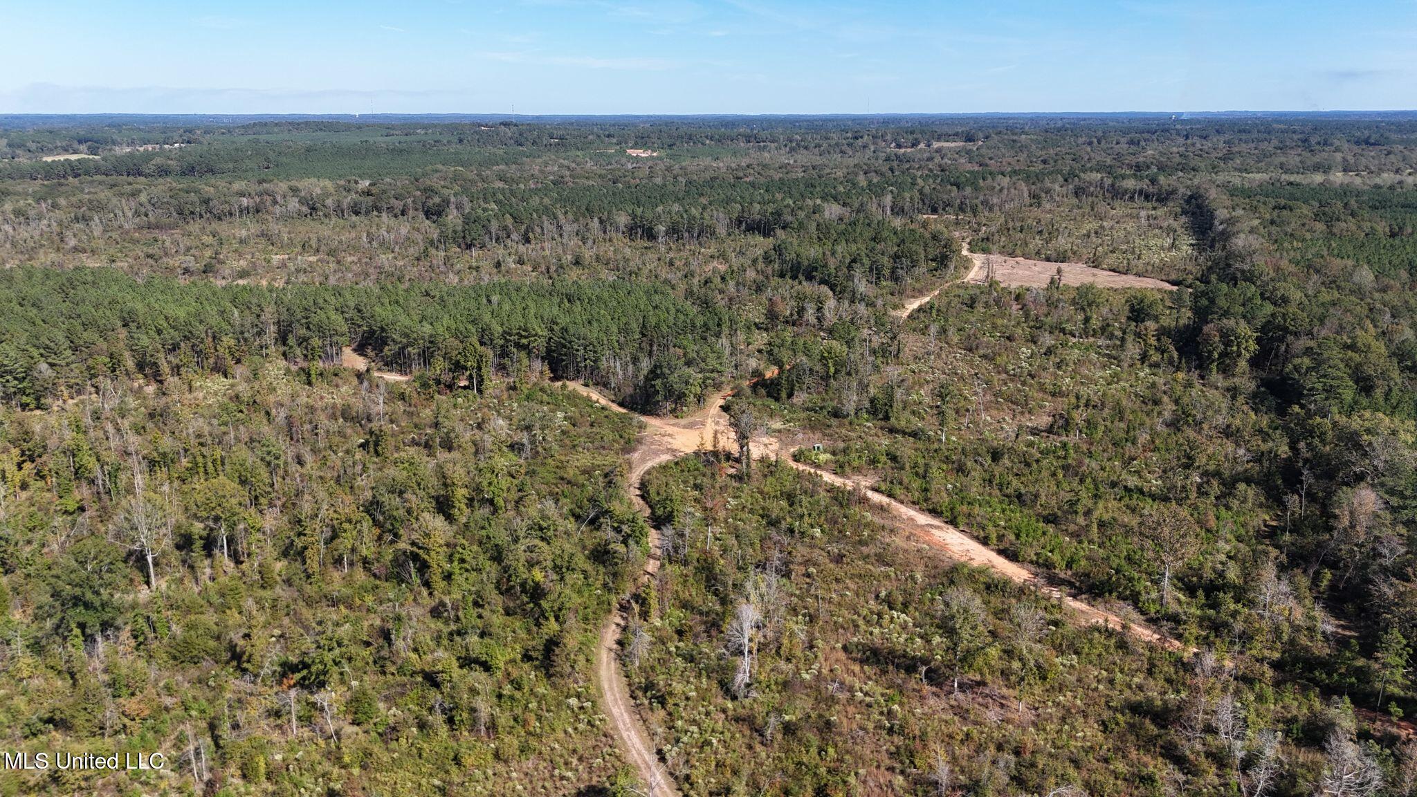 1327 County Road Philadelphia, MS 39350 - Photo 28 of 37 31