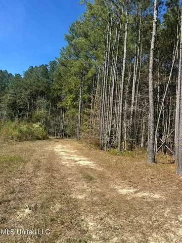 $775,000 | 1327 County Road, Philadelphia, MS 39350