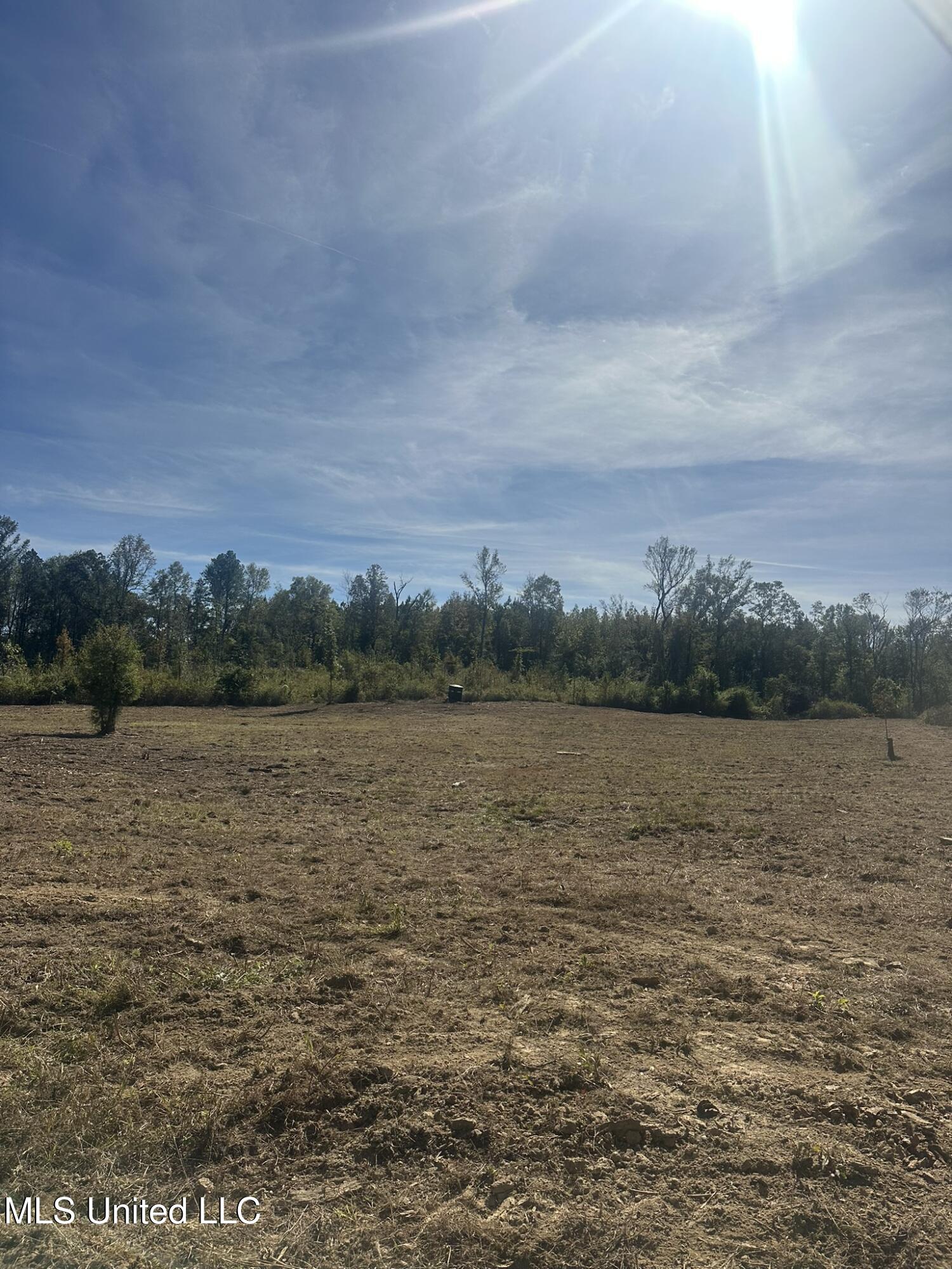 1327 County Road Philadelphia, MS 39350 - Photo 29 of 37 IMG_3823