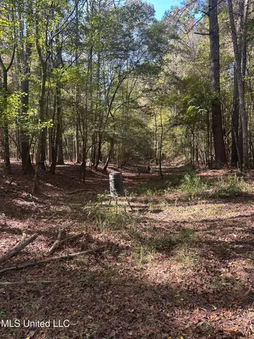 $775,000 | 1327 County Road, Philadelphia, MS 39350