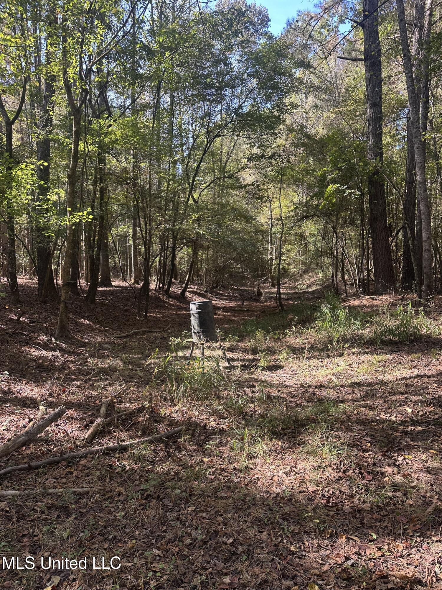 1327 County Road Philadelphia, MS 39350 - Photo 29 of 31 IMG_3860