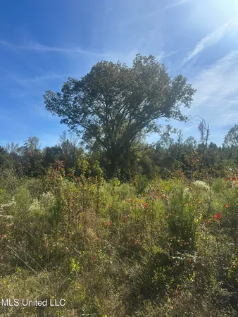 $775,000 | 1327 County Road, Philadelphia, MS 39350