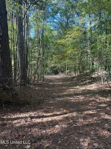 $775,000 | 1327 County Road, Philadelphia, MS 39350