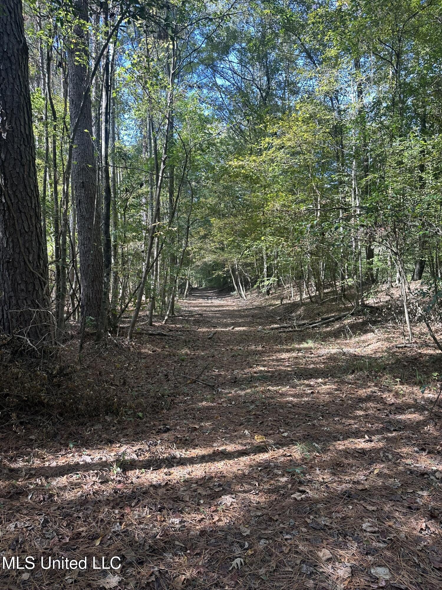 1327 County Road Philadelphia, MS 39350 - Photo 30 of 31 IMG_3862