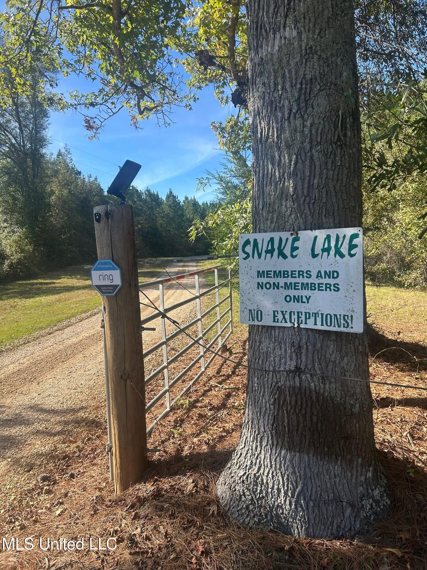1327 County Road Philadelphia, MS 39350 - Photo 3 of 31 IMG_3870
