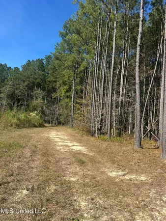 $775,000 | 1327 County Road, Philadelphia, MS 39350