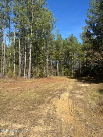 $775,000 | 1327 County Road, Philadelphia, MS 39350