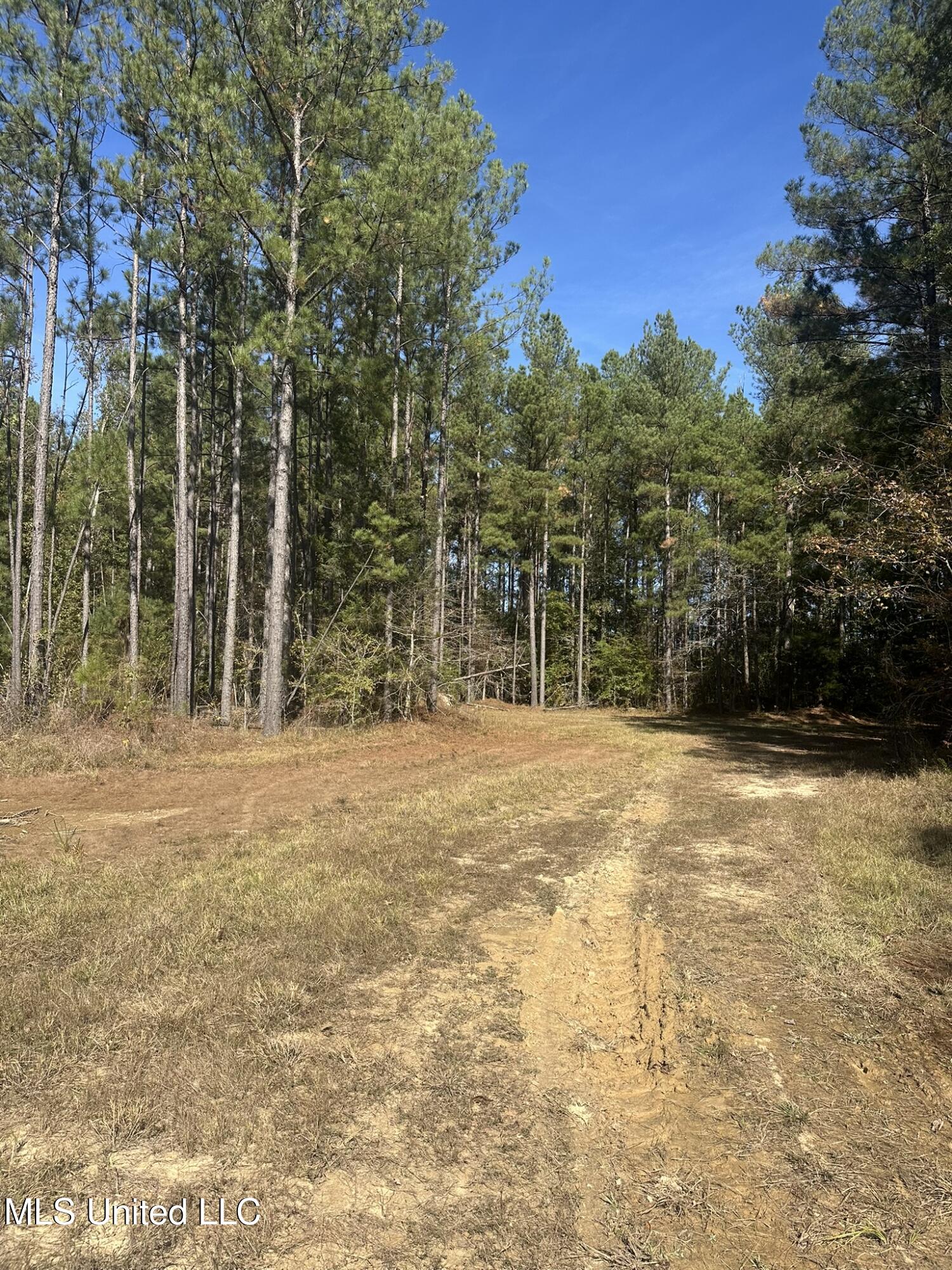 1327 County Road Philadelphia, MS 39350 - Photo 4 of 31 IMG_3843