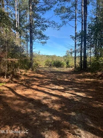 $775,000 | 1327 County Road, Philadelphia, MS 39350