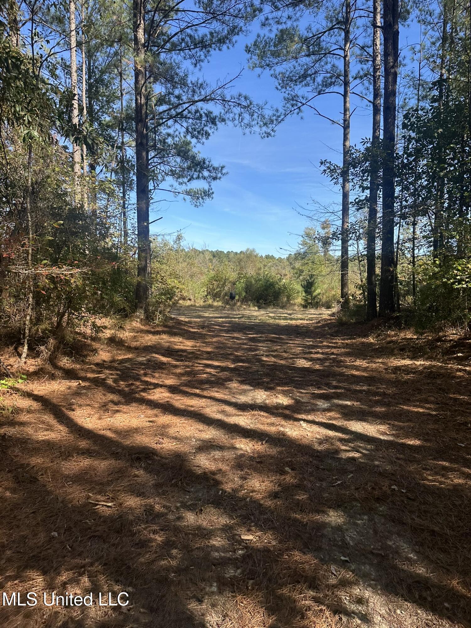 1327 County Road Philadelphia, MS 39350 - Photo 5 of 31 IMG_3848