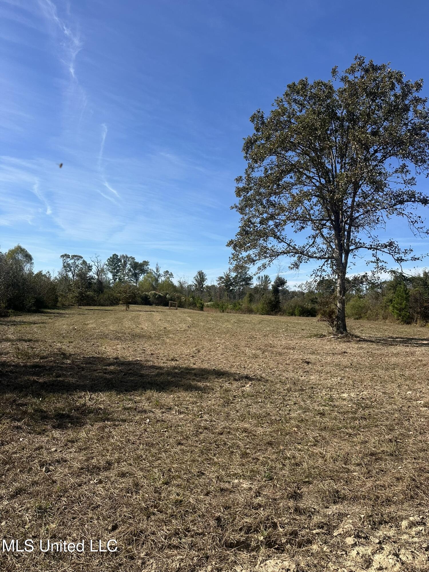 1327 County Road Philadelphia, MS 39350 - Photo 7 of 31 IMG_3857