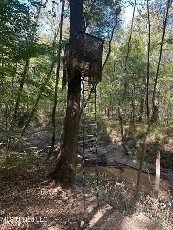 $775,000 | 1327 County Road, Philadelphia, MS 39350