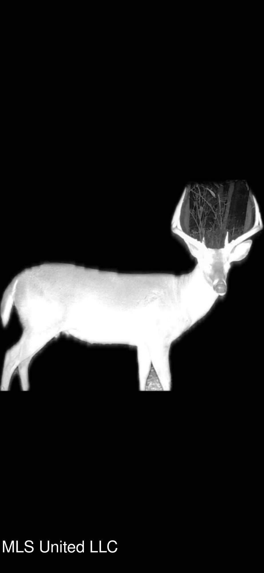 1327 County Road Philadelphia, MS 39350 - Photo 9 of 31 thumbnail_View recent photos