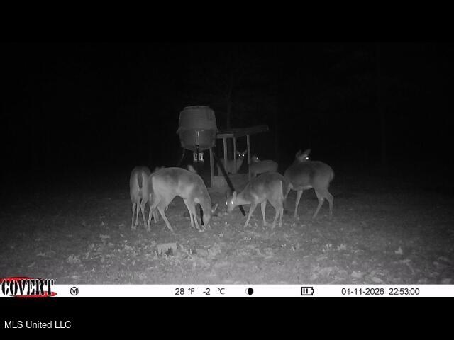 1327 County Road Philadelphia, MS 39350 - Photo 10 of 37 01_11_2026_22_53_01_3323409964