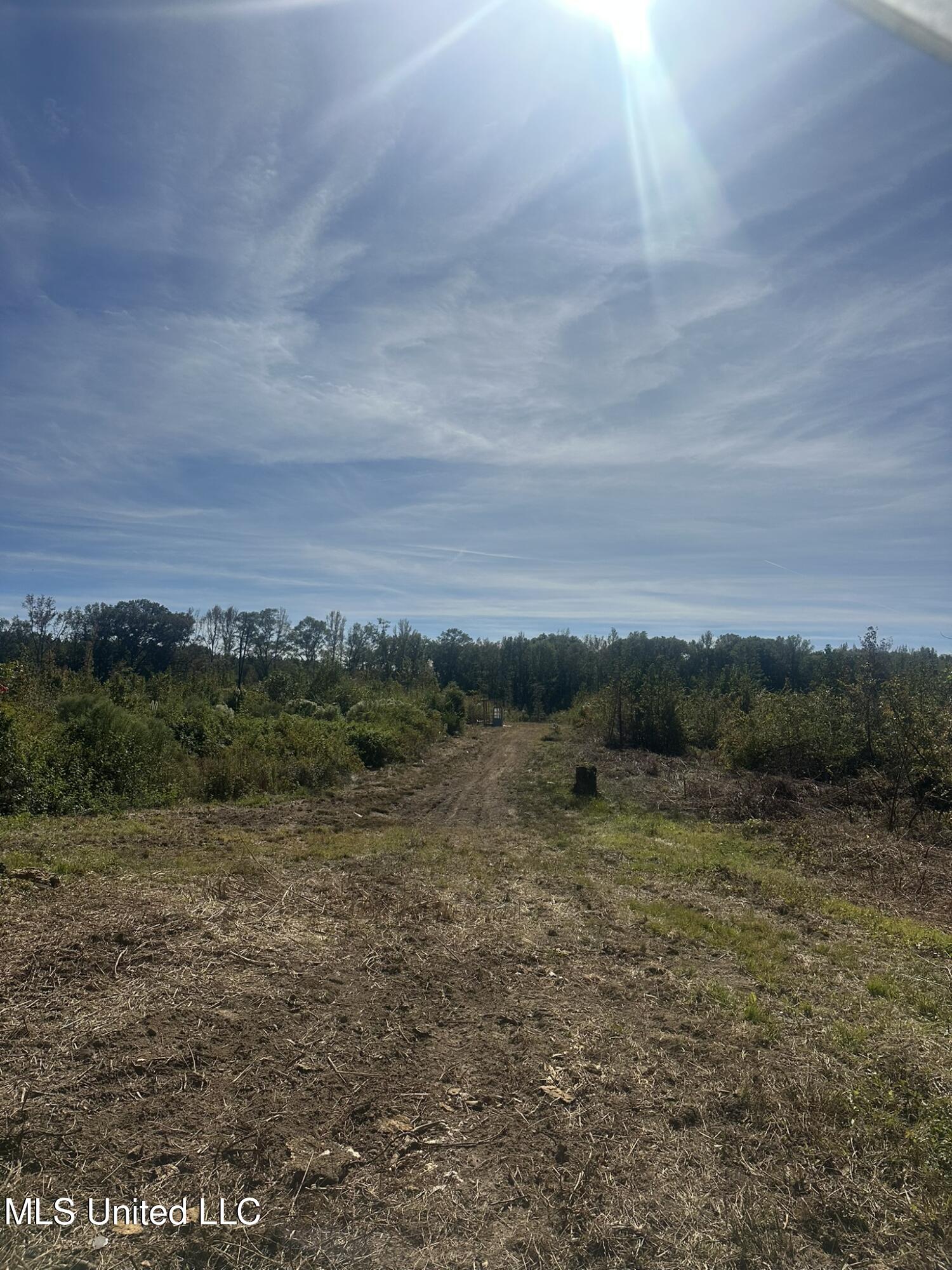 1327 County Road Philadelphia, MS 39350 - Photo 10 of 31 IMG_3833